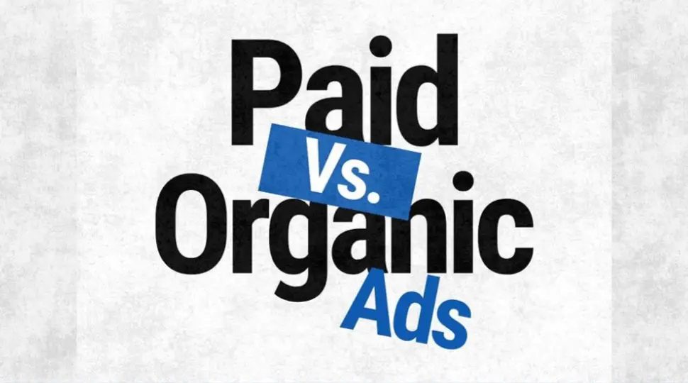 When to Use Paid Ads vs Organic Strategies | Small Business Cheat Sheet for Brand Community Building